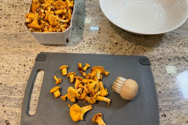 Pfifferlinge bürsten