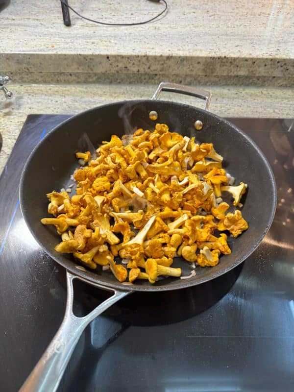 Frische Pfifferlinge