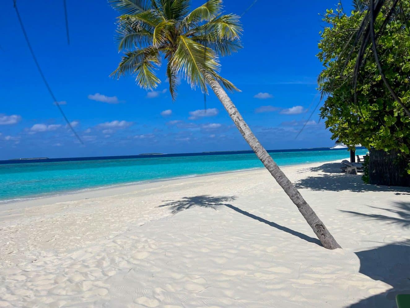 Strandvilla mit Pool JA Manafaru Malediven