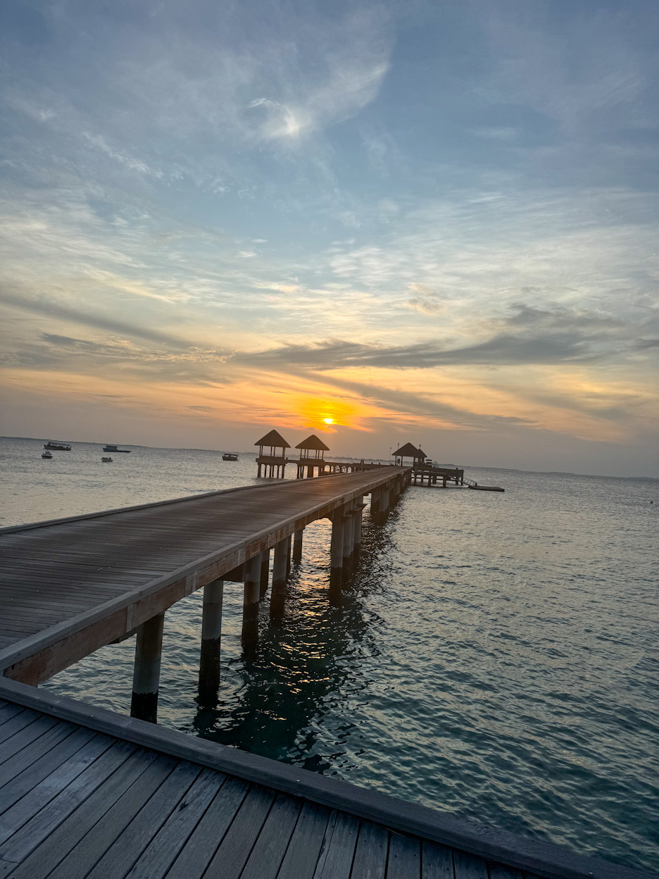 Restaurant White Orchid Jaa Manafaru Malediven