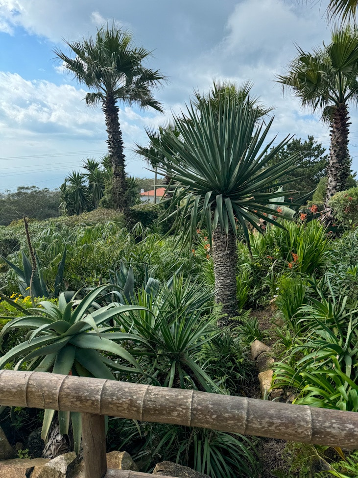 Portugal: Restaurant Moinho Dom Quixote .Mitten in der Natur.hotelandfoodlover,Sandra Eigen ,Hotel&Foodlover