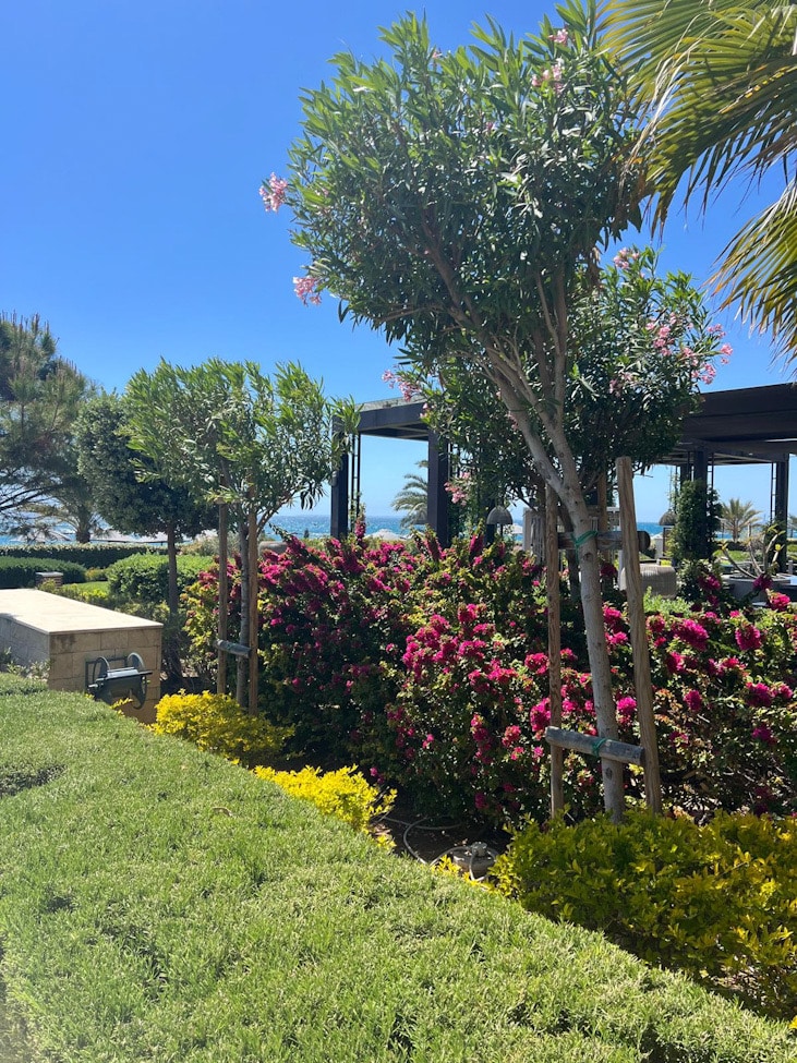 Amara Hotel Gartenanlage 