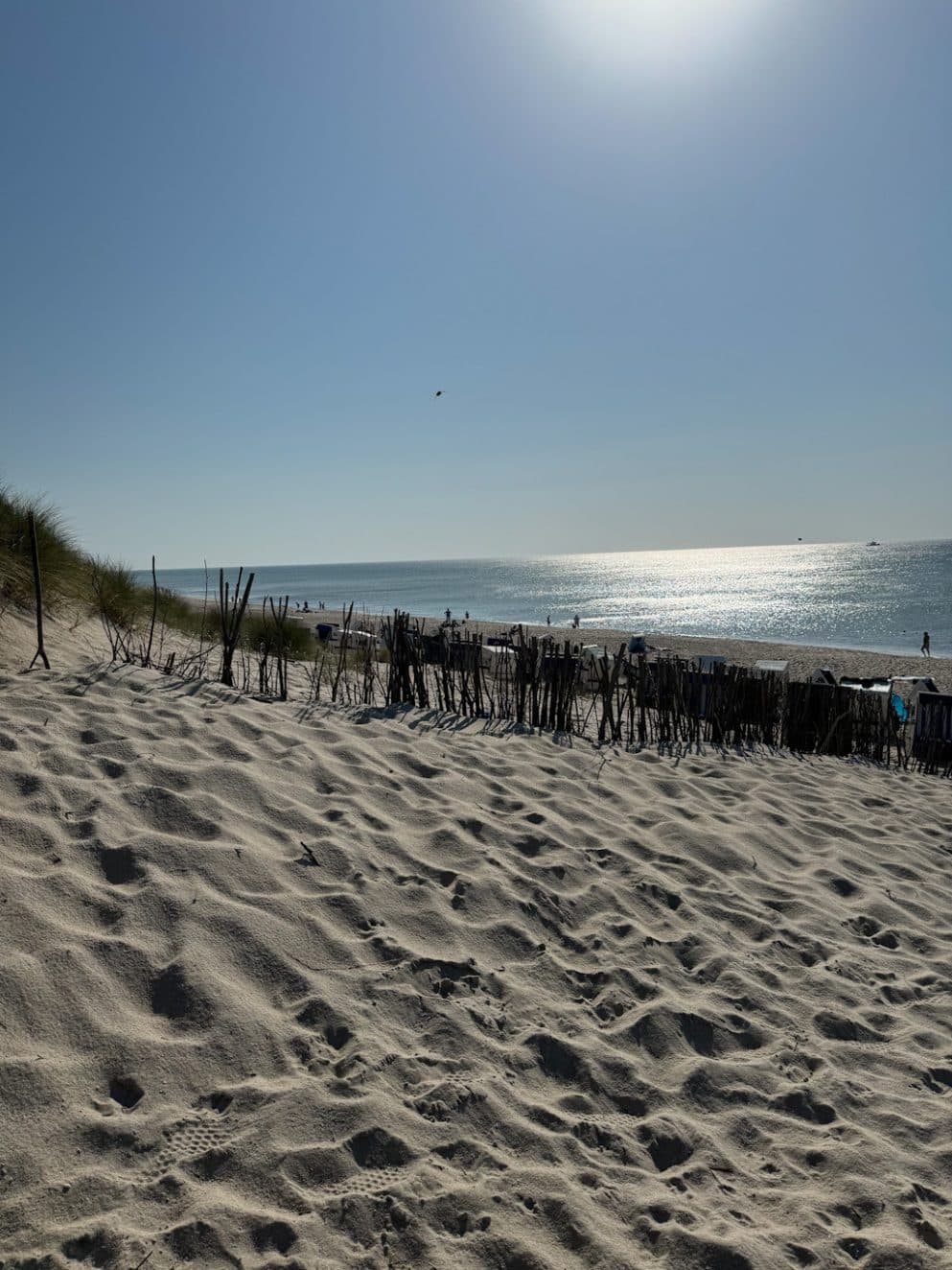 Abendlicht am Strand vor der Sansibar