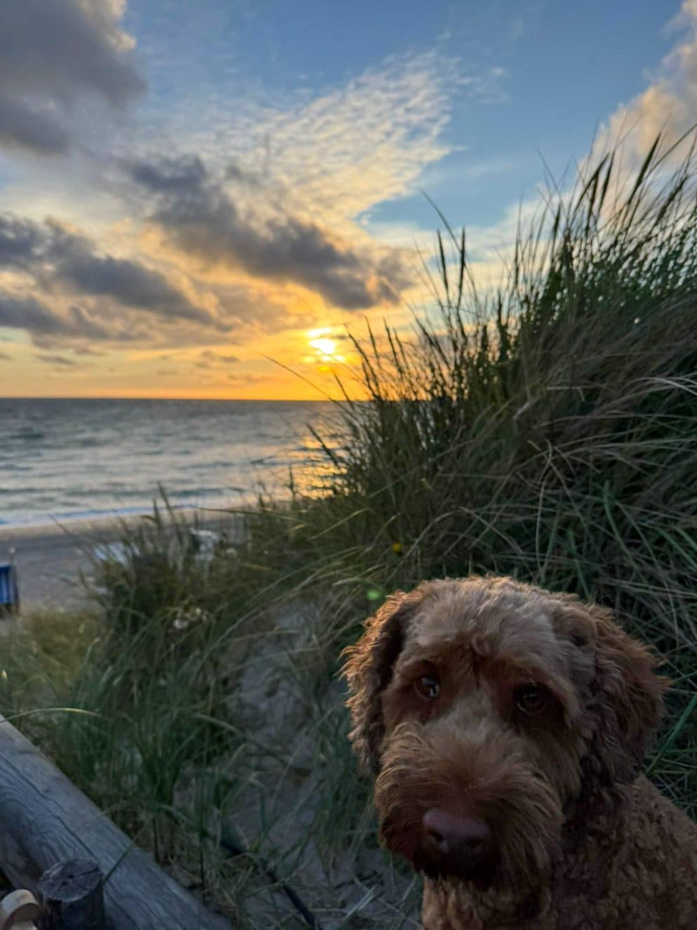 Abendrot auf Sand und Dünen