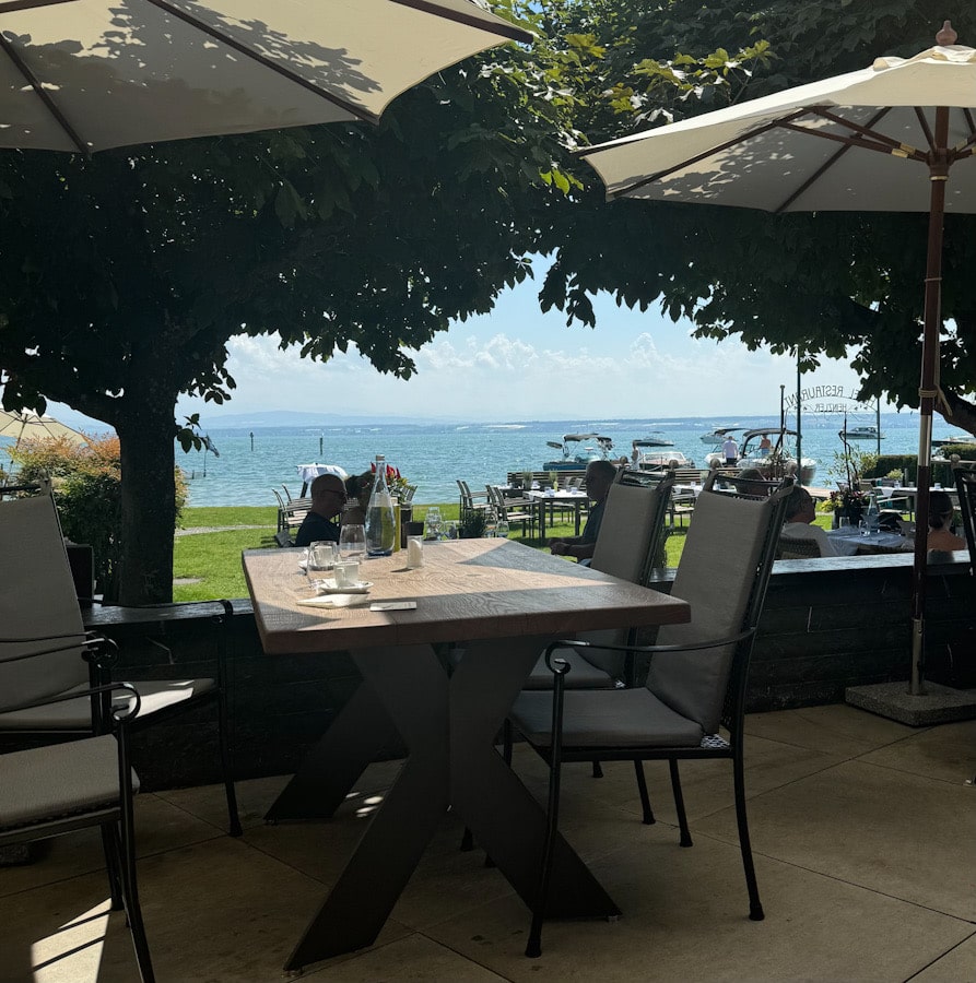 Blick von der Terrasse des Heinzler Restaurants auf den Bodensee durch die Bäume
