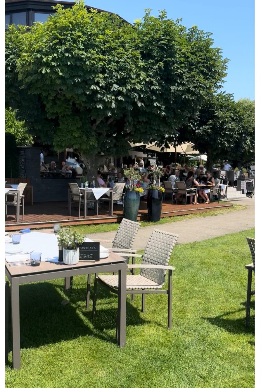 Heinzler Seeterrasse mit Gästen im Schatten unter großen Bäumen am Bodensee