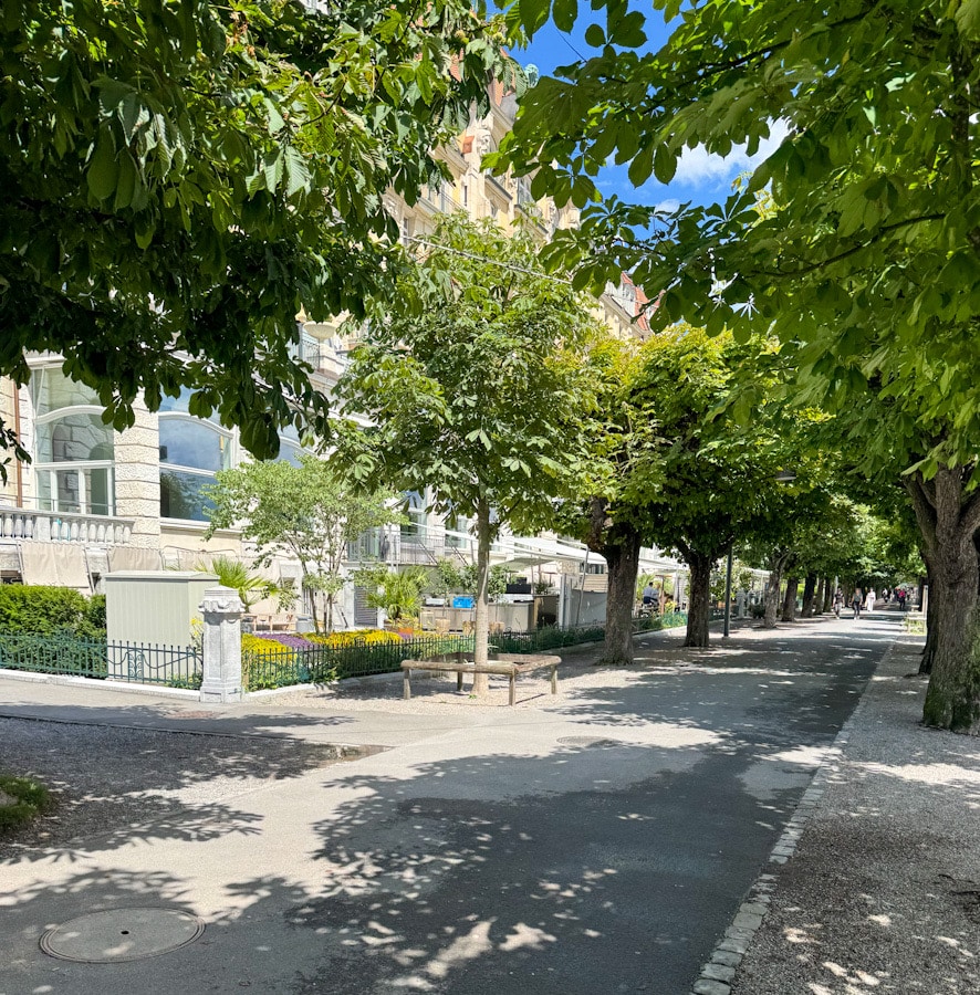 Promenade mit Bäumen vor dem Mandarin Oriental Palace Luzern